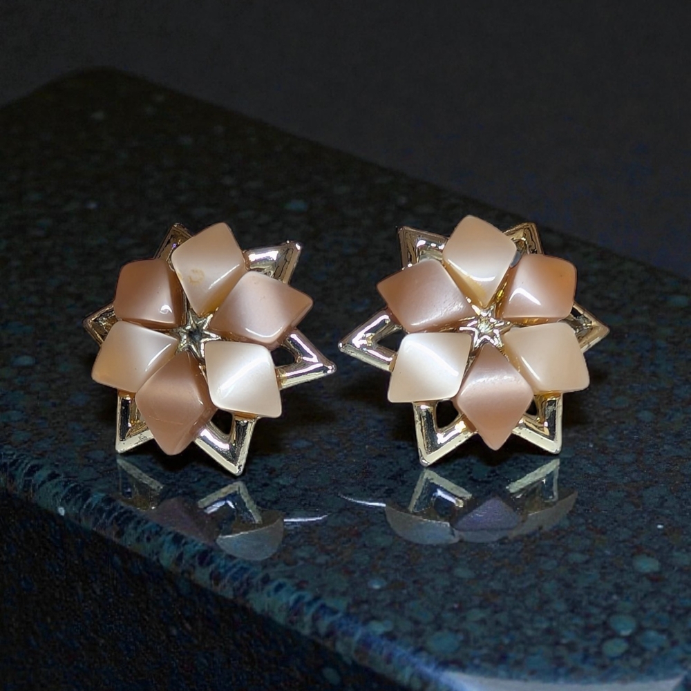 ✨Mid-Century Modern✨ | Thermoset Lucite Clip Earrings